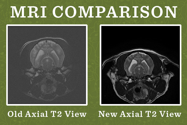 Comparing MR Images at DoveLewis