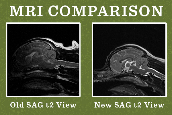 MRI Pets