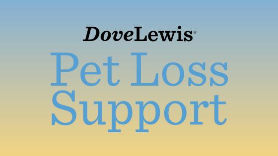 pet grief support