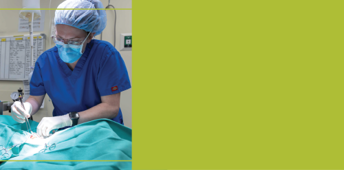 residency ECC Veterinary