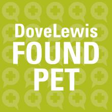 Lost Pets in Portland at DoveLewis Emergency Animal Hospital