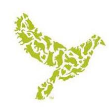 DoveLewis logo - green dove image