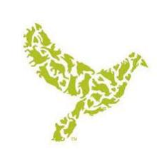 Dove Lewis' logo, a dove in green made of animal outlines