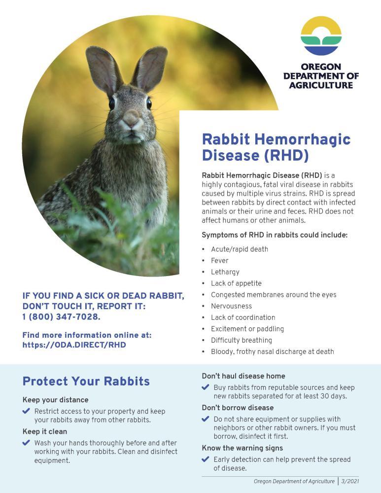 Rabbit Hemorrhagic Disease (RHD) DoveLewis