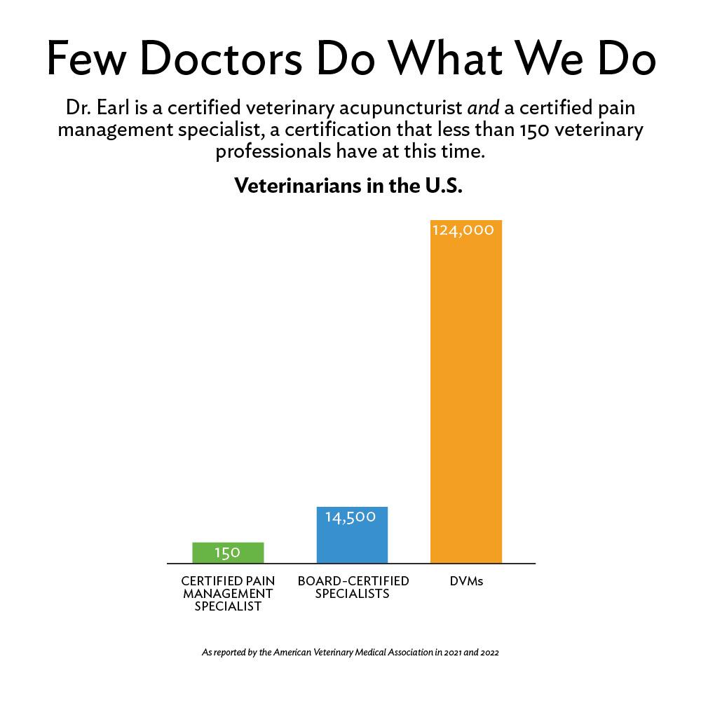 Veterinarians in the US